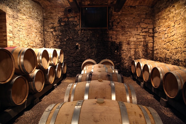Cave à vin château viticole